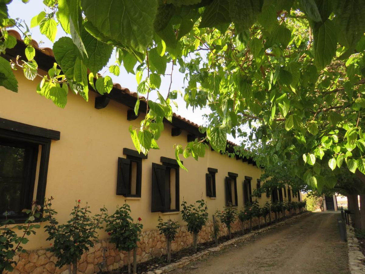 Hotel Enoturismo Mainetes Fuente-Álamo Exterior foto
